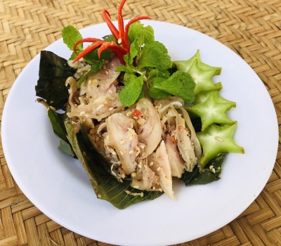 tré bình định quy nhơn 